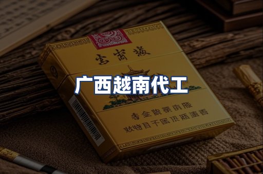 广西越南代工